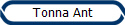 Tonna Ant