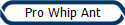 Pro Whip Ant